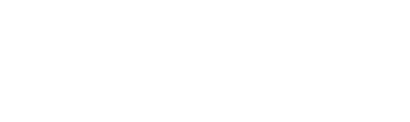 Princeton University